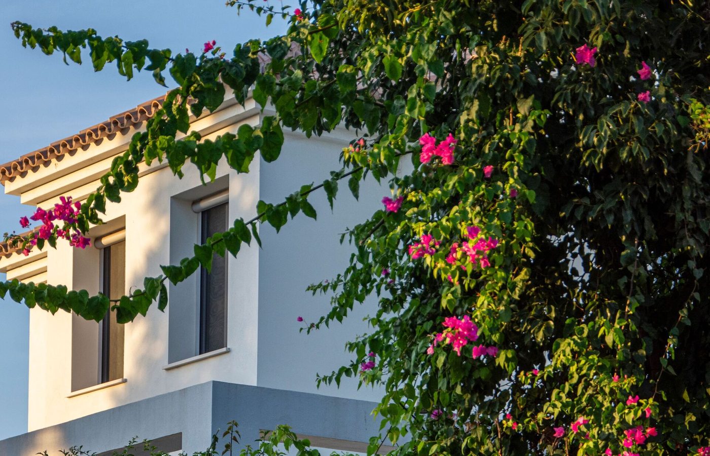 Casa en España decorada con buganvilla